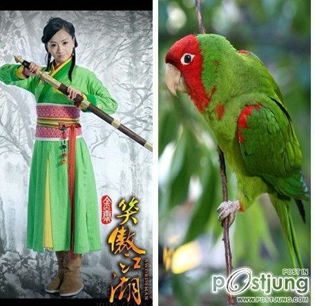 笑傲江湖 / Xiao Ao Jiang Hu / S W O R D S M A N 2012 แบบเต็มๆ