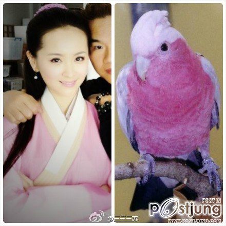 笑傲江湖 / Xiao Ao Jiang Hu / S W O R D S M A N 2012 แบบเต็มๆ