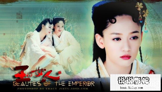 Beauties of the Emperor / 王的女人 / Wang De Nu Ren (2012)