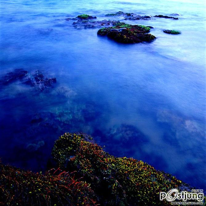 Paradise on earth 2