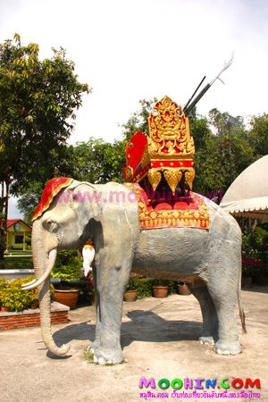 ช้างกับประเทศไทย