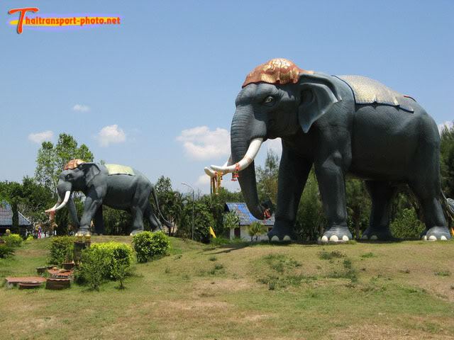 ช้างกับประเทศไทย