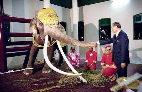 ทรงพระเจริญ