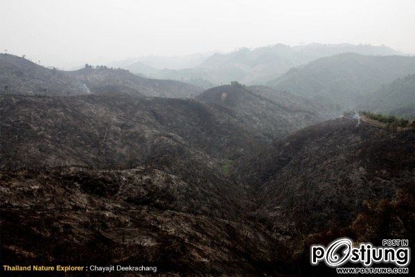 เผยภาพสุดสลด!! ภูเขาหัวโล้นสีดำราวนรก ที่จังหวัดน่าน