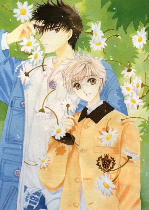 คนรัก Cardcaptor Sakura