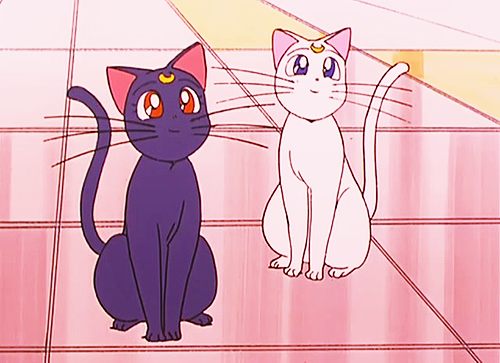 คนรัก Sailor Moon