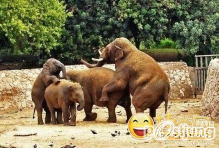 ฮาๆๆๆๆๆๆๆๆคลายเครียดนะค่ะ!