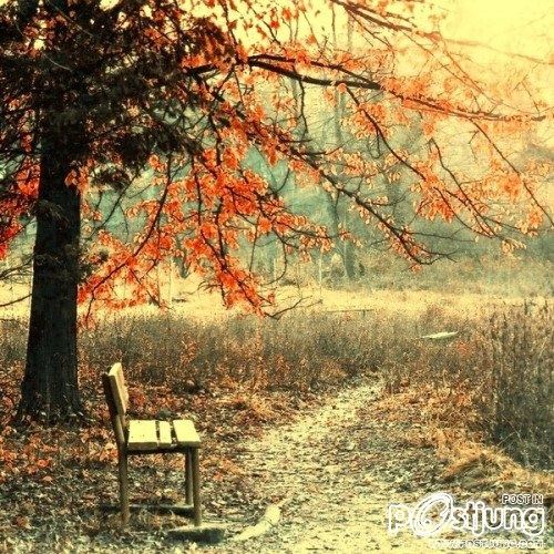 When you feel alone