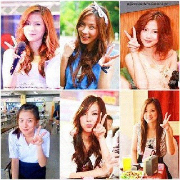 ใบเฟิร์น