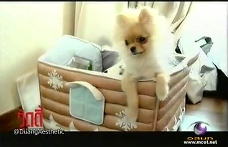 ปอย ตรีชฎา - เอ็ม รักแท้มีอยู่จริง  วู้ดดี้ เกิดมาคุย