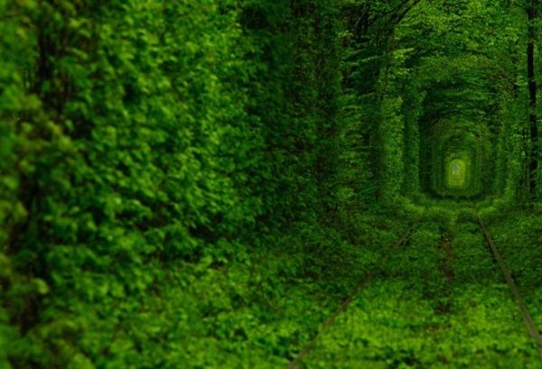 5. อุโมงค์แห่งความรัก (Tunnel Of Love)
