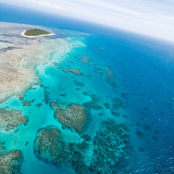 9. เกรท แบร์ริเออร์ รีฟ (The Great Barrier Reef)