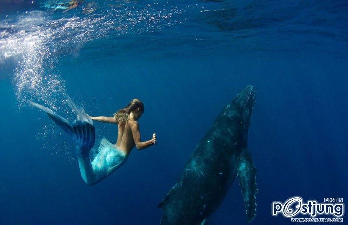 Mermaid