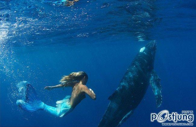 Mermaid