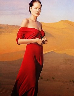 คนรัก Angelina Jolie