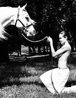 คนรัก Angelina Jolie