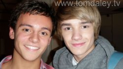 คนรักนักกระโดดน้ำ Tom Daley