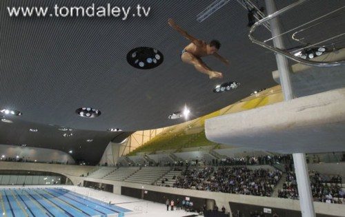 คนรักนักกระโดดน้ำ Tom Daley