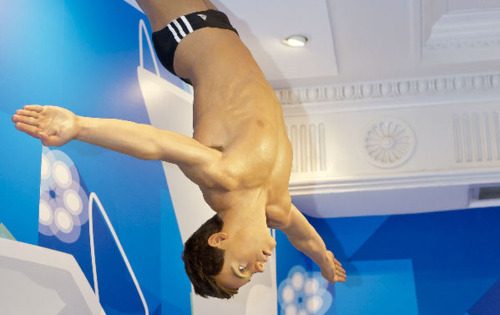 คนรักนักกระโดดน้ำ Tom Daley
