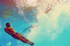 คนรักนักกระโดดน้ำ Tom Daley