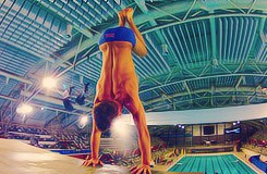 คนรักนักกระโดดน้ำ Tom Daley