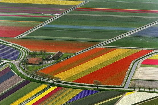 คนรัก รูปสวยชวนอาร์ต 00
