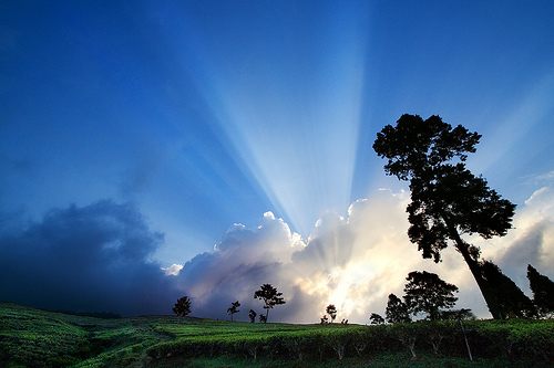 คนรัก รูปสวยชวนอาร์ต 00