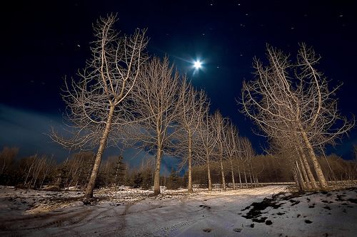 คนรัก รูปสวยชวนอาร์ต 00