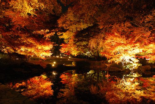 คนรัก รูปสวยชวนอาร์ต 00