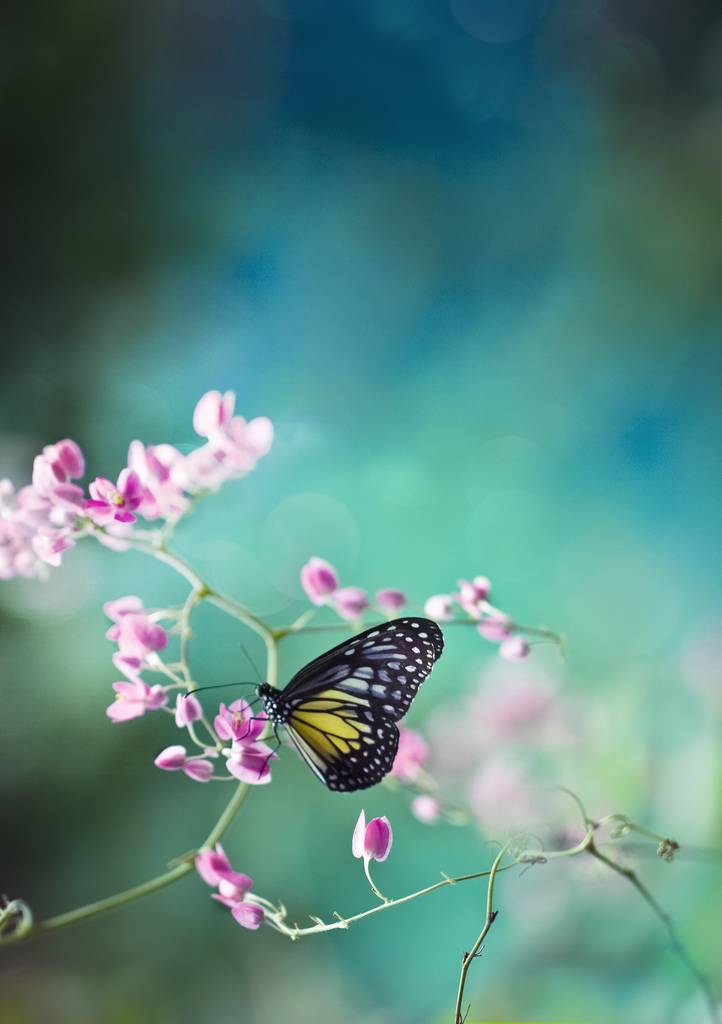 คนรัก รูปสวยชวนอาร์ต 00