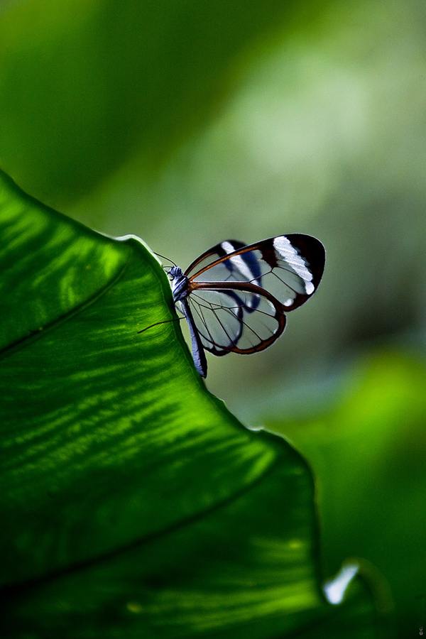 คนรัก รูปสวยชวนอาร์ต 00