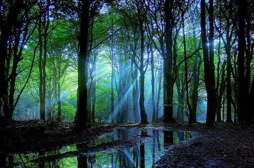 คนรัก รูปสวยชวนอาร์ต 01