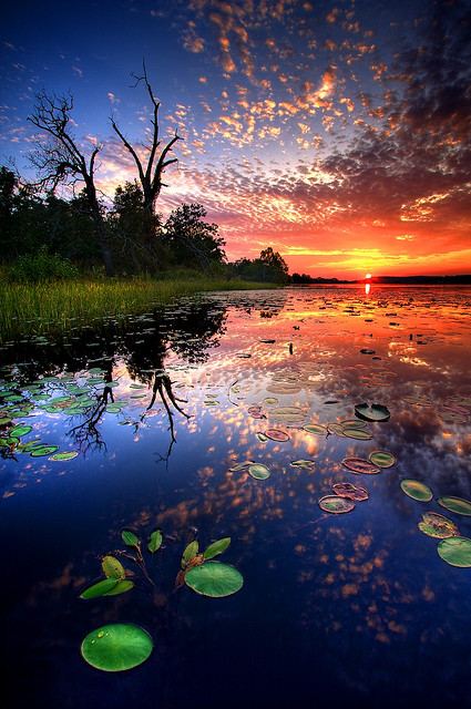 คนรัก รูปสวยชวนอาร์ต 01