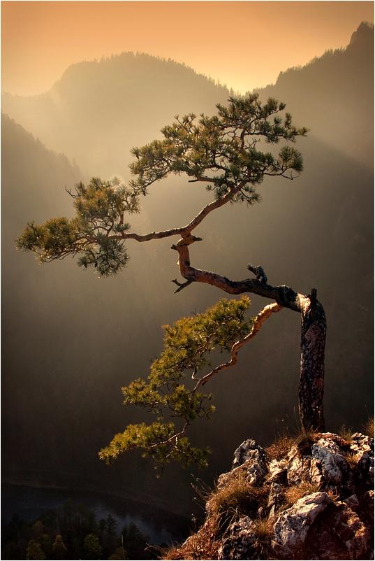 คนรัก รูปสวยชวนอาร์ต 01