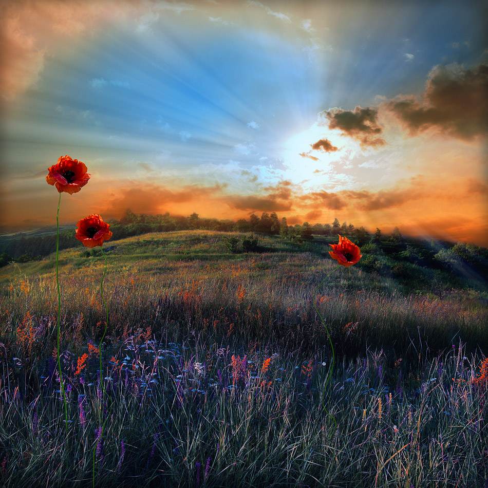 คนรัก รูปสวยชวนอาร์ต 01