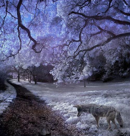คนรัก รูปสวยชวนอาร์ต 02