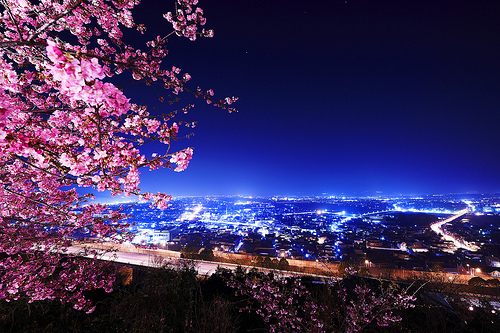คนรัก รูปสวยชวนอาร์ต 02