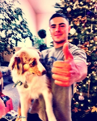 คนรัก zac efron