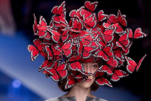 คนรัก ALEXANDER MCQUEEN 01