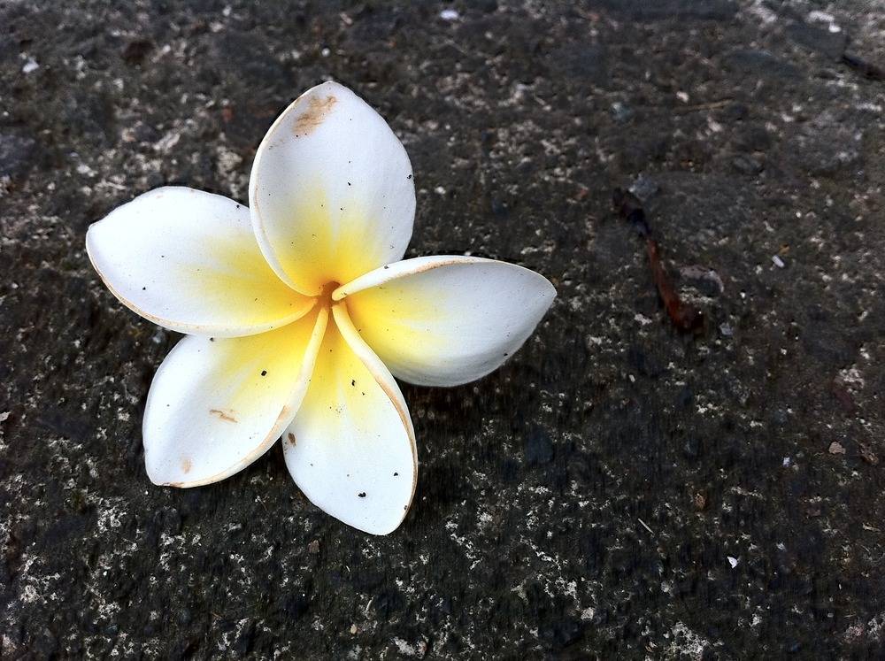 คนรัก รูปสวยชวนอาร์ต 05