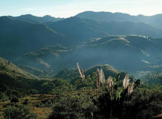 วิถีตะวันออกที่ชาวตะวันตกยังหลงใหล