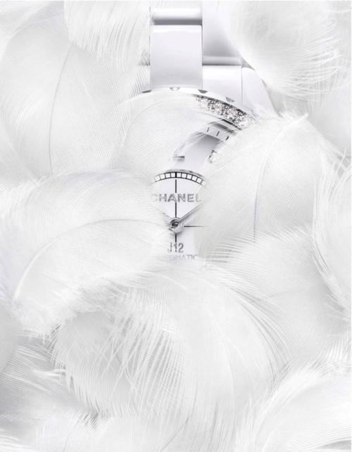 คนรัก Chanel