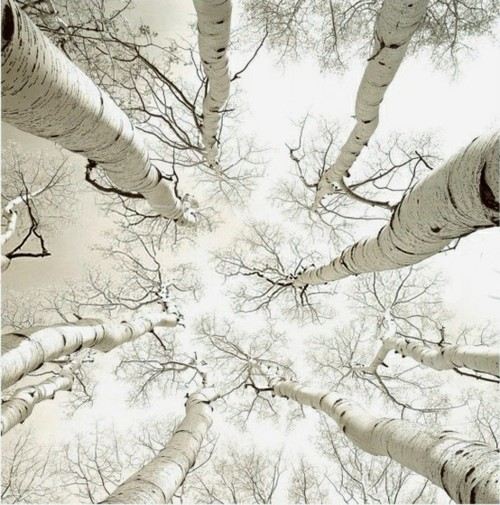 คนรัก รูปสวยชวนอาร์ต 07