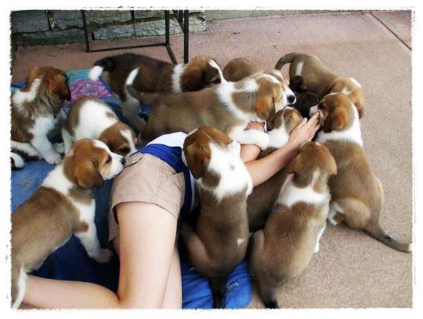 น่ากลัว ^^