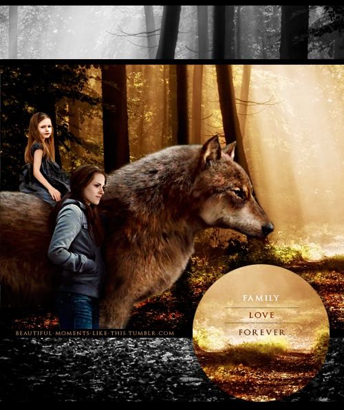 คนรัก Renesmee