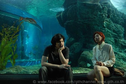 หนังใหม่ รัก 7 ปี ดี 7 หน
