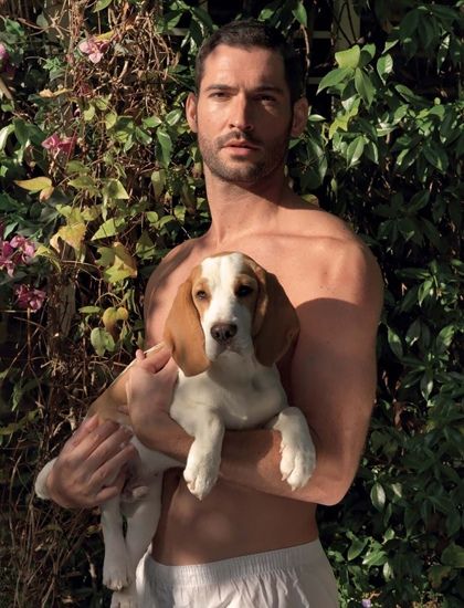 คนรักหนุ่มเซ็กซี่ 162 -  Tom Ellis : An Ideal Man