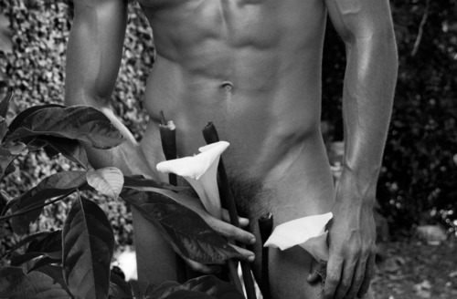 male body 023