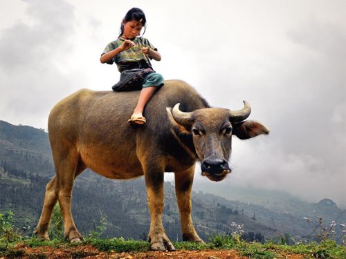 คนรัก national geographic