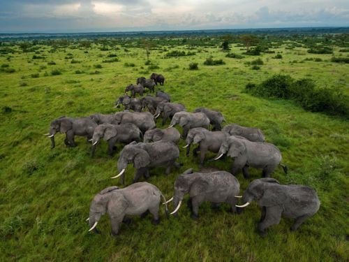 คนรัก national geographic